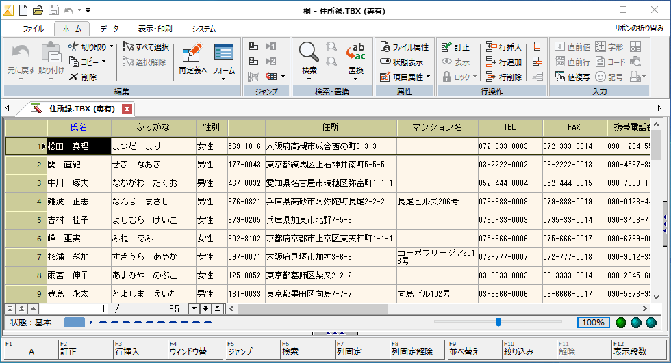 システムの表示サイズ：100％