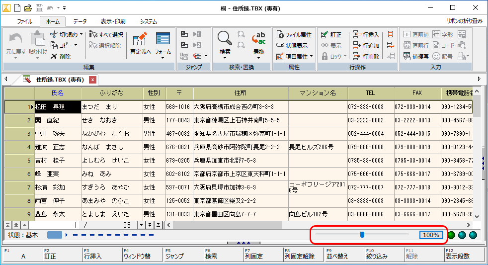 表示倍率：100%